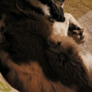 Meet your Posher, Leslie